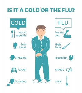 Cold or Flu